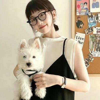 老鼠也移民之西部历险记